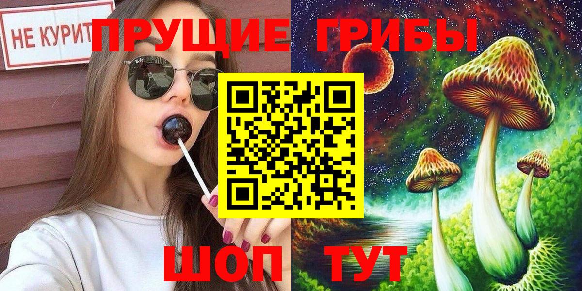 Галлюциногенные грибы Psilocybe  Галлюциногенные грибы мицелий  Избербаш  Вход с VPN 