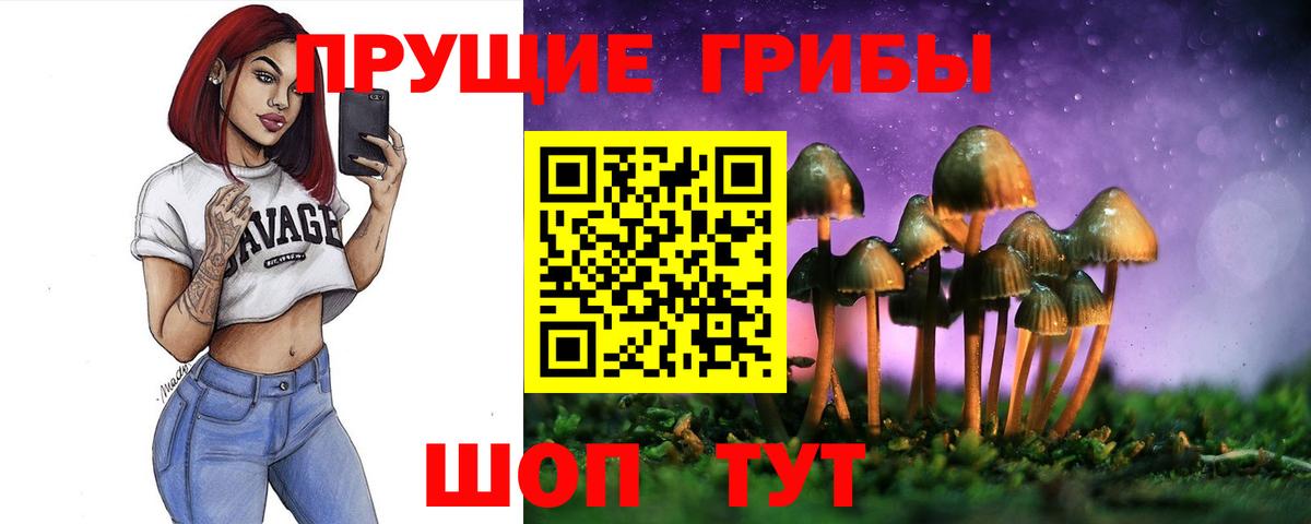 Галлюциногенные грибы Psilocybine cubensis Избербаш